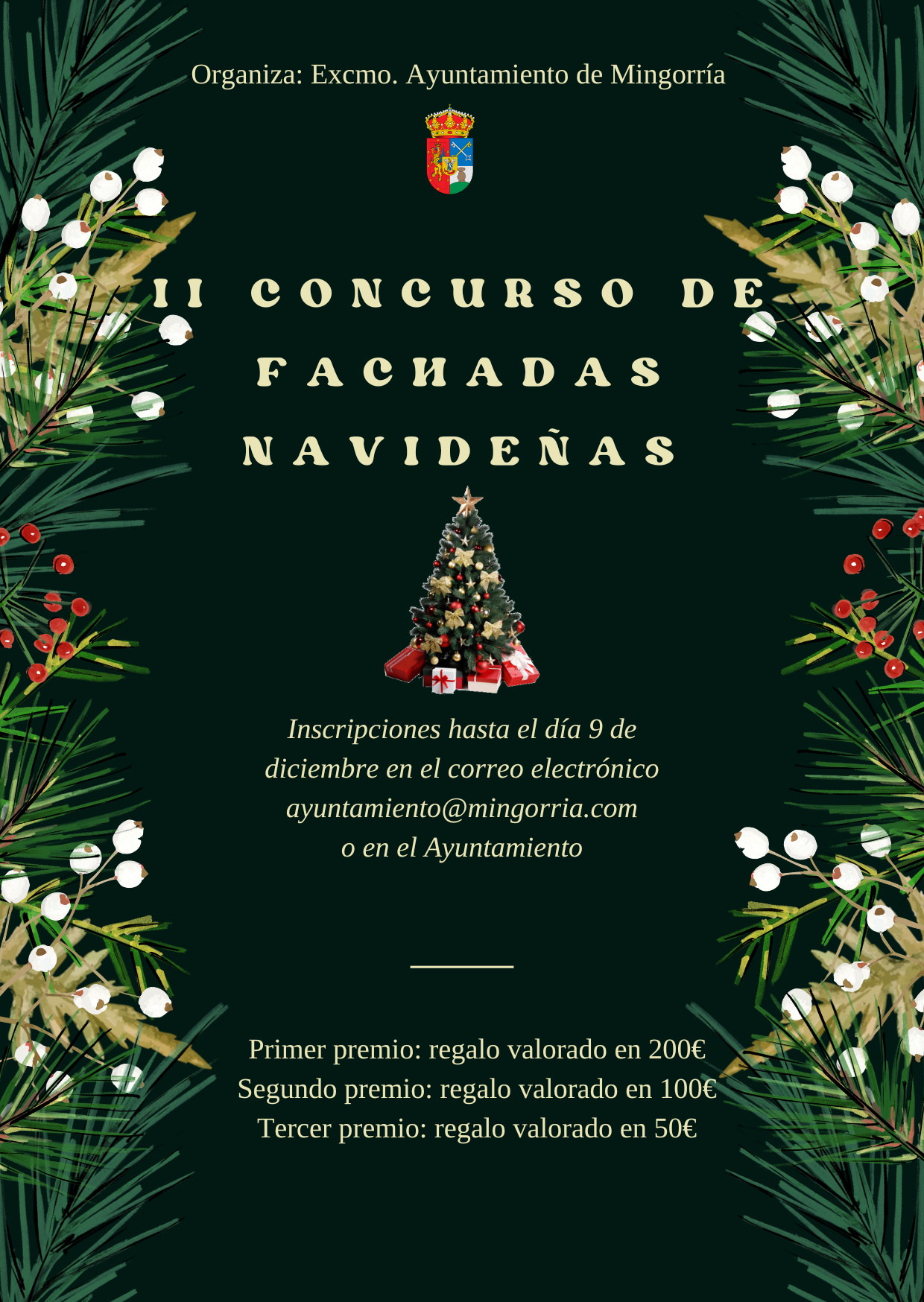 II CONCURSO FACHADAS NAVIDEÑAS 